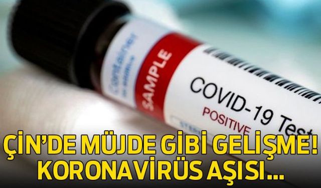 Çin'de yeni tip koronavirüse karşı geliştirilen bir aşının klinik denemelerinde ikinci aşmaya geçildiği bildirildi