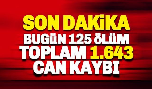 Türkiye'de koronavirüsten can kaybı 1643'e yükseldi