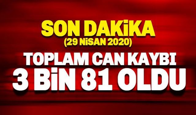 Toplam can kaybımız 3 bin 81 oldu