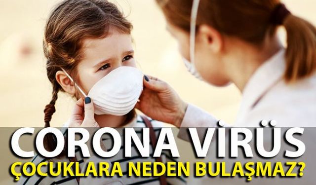 Corona virüsünün yaş grupları arasındaki dağılımını inceleyen uzmanlar, çocukların yetişkinlere göre hastalığa daha az yakalanmasının, ACE2 enziminin daha az bulunmasından kaynaklandığını öne sürdü