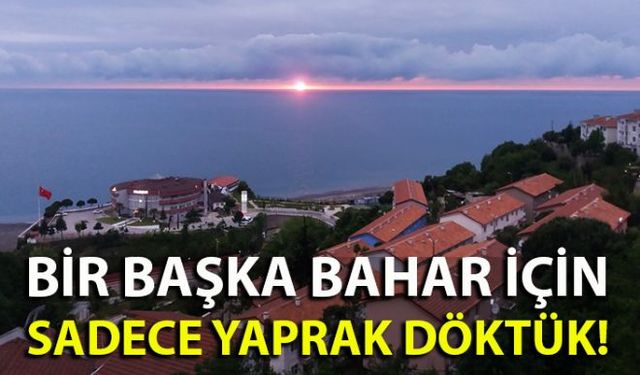 Zonguldaklı ünlü yönetmen Kıvanç Baruönü doğup büyüdüğü Zonguldak'ı sosyal medya hesabında anlattı