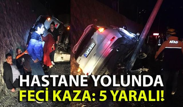 Arı sokan arkadaşlarını hastaneye yetiştirmeye çalışan gençler kaza yaptı