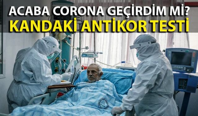 Corona virüs salgınının ardından normalleşme sürecine geçilmesi ile birlikte covid-19 testi yerini antikor testlerine bırakmaya başladı