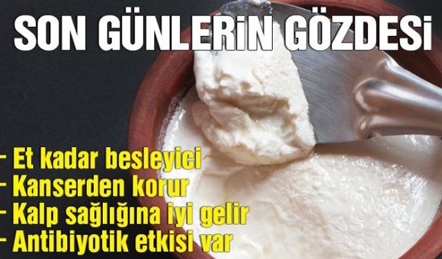 İyi bir protein kaynağı olan manda yoğurdu adeta bir şifa deposu