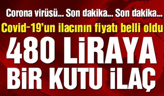 Tün dünya genelinde yayılan ve insanların hayatını adeta sekteye uğratan Corona virüsü için üretilen Covid-19 ilacının fiyatı belli oldu