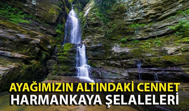 Zonguldak kent merkezine 3 kilometre mesafedeki Harmankaya Şelaleleri, ağaçların rengarenk olduğu bu mevsimde doğa severlerin uğrak yeri olmaya başladı