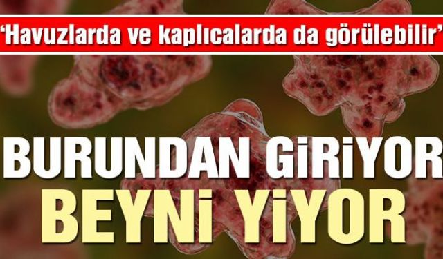 Havuzlarda ve kaplıcalarda görülen ve "beyin yiyen amip" olarak belirtilen virüs insanları korkuya saldı