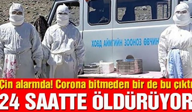 Corona virüsünün ortaya çıktığı Çin'de şimdi de 'bubonik veba' paniği yaşanıyor