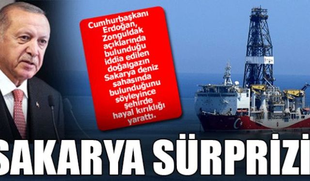 Cumhurbaşkanı Erdoğan, Zonguldak açıklarında bulunduğu iddia edilen doğalgazın Sakarya deniz sahasında bulunduğunu söyleyince şehirde hayal kırıklığı yarattı