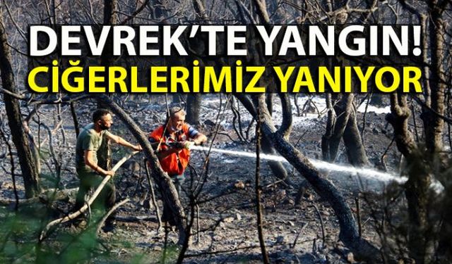 Zonguldak'ın Devrek ilçesinde, ormanlık alanda yangın çıktı