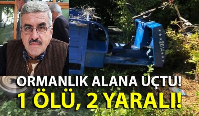 Zonguldakın Devrek ilçesine bağlı Çaydeğirmeni Beldesinde sürücüsünün kontrolünden çıkan tarım aracı ormanlık alana devrildi