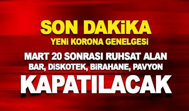 İçişleri Bakanlığı, 15 Mart 2020 tarihinden önce ruhsatı gazino, pavyon, diskotek, bar, birahane, taverna veya gece kulübü olan ve bu tarihten sonra ruhsatını kafe, restoran, lokanta olarak değiştirenlere yönelik denetimler yoğunlaştırılacağını ve bu dene