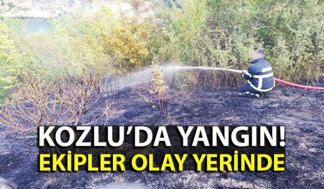 Kozlu ilçesine bağlı Ilıksuda ormanlık alanda çıkan yangın kısa sürede söndürüldü