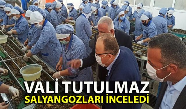 Zonguldak Valisi Mustafa Tutulmaz Devrek ilçesi Çaydeğirmeni beldesinde faaliyet gösteren salyangoz fabrikasında incelemelerde bulundu