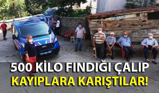 Zonguldak'ın Alaplı ilçesine bağlı İsafakılı Köyü Durabeyli Mahallesinde fındık hırsızlığı olayı meydana geldi