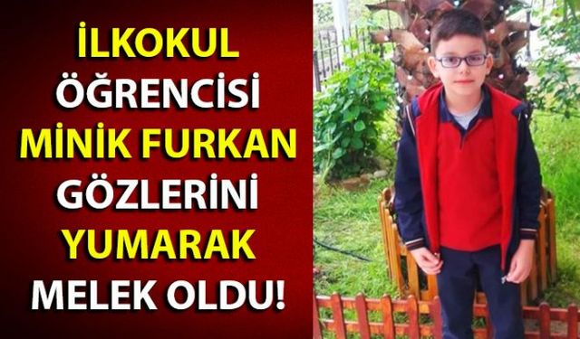 Zonguldak'ın Devrek Ilçesi'ne bağlı Kabaca Köyü'nde ikamet eden 10 yaşındaki Furkan Pınarcık hayatını kaybetti