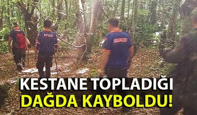 Kestane toplamak için gittiği dağda kayıplara karışan şahsı arama çalışmaları sürüyor