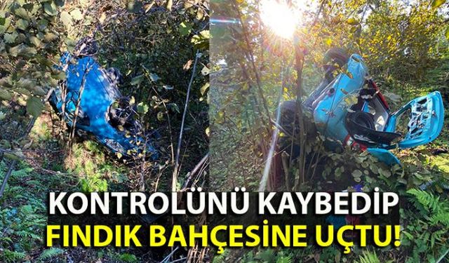 Zonguldakın Kilimli ilçesine bağlı Gelik beldesinde bir araç fındık bahçesine uçtu