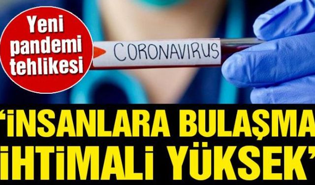 Dünya, yeni pandemi tehlikesi ile karşı karşıya!