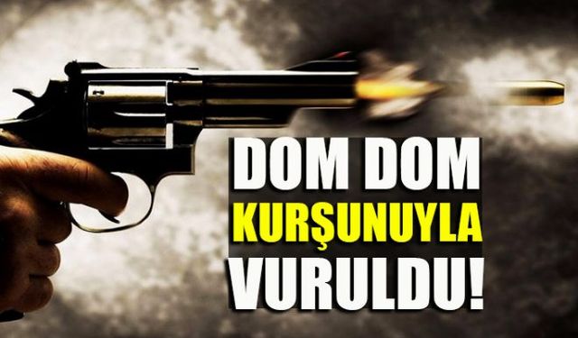 Zonguldakın Ereğli ilçesine Bağlı Sücüllü Köyünde bir kişi av tüfeğinden çıkan domdom kurşunu ile yaralandı