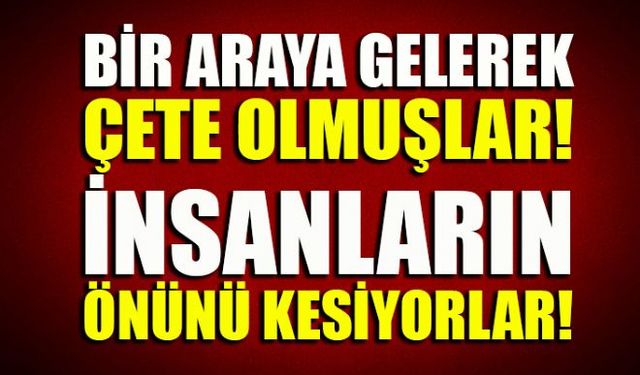 Bir araya gelerek çete olmuşlar ve ansızın insanların çocukların önlerine çıkan başıboş köpekler etrafa korku salıyor