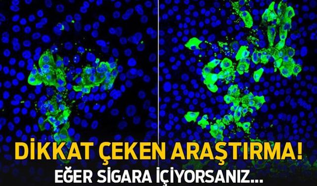 Bilim insanları tarafından yapılan bir araştırma sonucunda, koronavirüsle ilgili dikkat çeken ayrıntılar ortaya çıktı