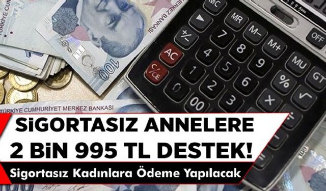 Çalışan çalışmayan tüm kadınlara devletten destek müjdesi geldi