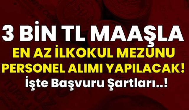 İŞKUR KPSS şartı olmadan en az ilköğretim mezunu belediye işçi ilanı yayınladı