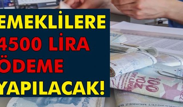 Emekli vatandaşa büyük müjde geldi