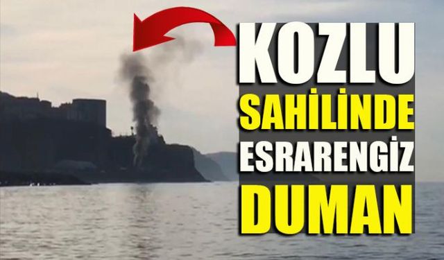 Zonguldakın Kozlu İlçesinden yükselen dumanlar paniğe neden oldu