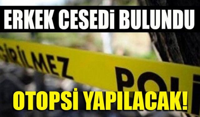 Zonguldakın Ereğli ilçesine bağlı Yaraşlıyörük köyünde erkek cesedi bulundu