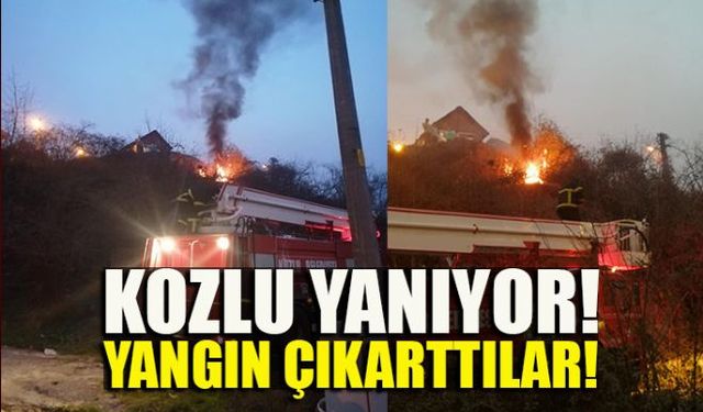 Kozlu ilçesine bağlı Taşbaca Mahallesinde çıkan anız yangını itfaiye ekiplerinin erken müdahalesiyle söndürüldü