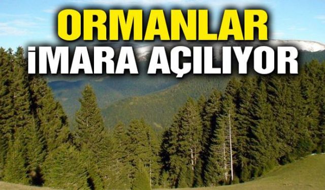 Ormanların imara açılmasıyla ilgili yönetmelik çıktı