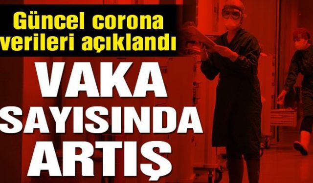 Sağlık Bakanlığı'nın açıkladığı 11 Ocak Pazartesi gününün corona tablosuna göre son 24 saatte 174 kişi hayatını kaybetti