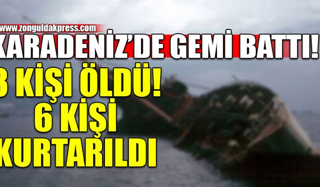 Kalkış limanı Gürcistan, varış limanı Bulgaristan olan Palau bayraklı kuru yük gemisi Bartın açıklarında battı