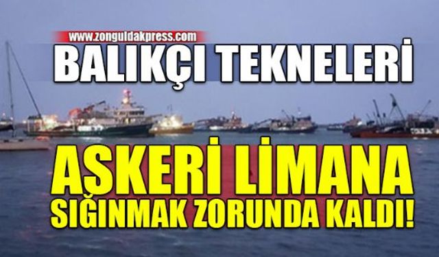 Zonguldakın Ereğli ilçesinde yaşana yoğun kar yağışı sonrası beklenen fırtına üzerine balık tekneleri askeri liman içerisine sığındı