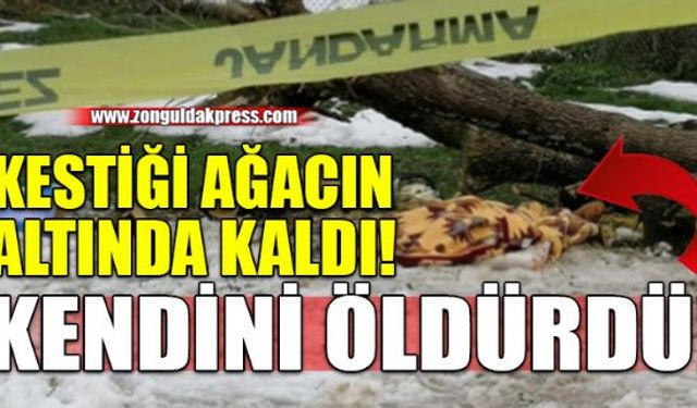 Zonguldakın Ereğli ilçesinde, devrilen ağacın altında kalan bir kişi hayatını kaybetti