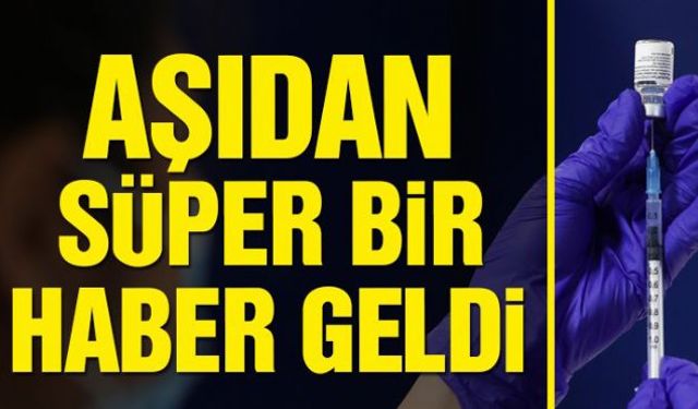 Corona virüsü aşısı olan kişilerin virüsü başkalarına bulaştırma riski olup olmadığı hâlâ bilinmiyordu ancak İngiltere'de yayımlanan bir araştırma umut oldu