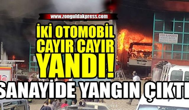 Devrek ilçesinde oto sanayinde çıkan yangında alev alan araçlar yandı