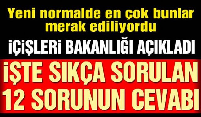 İçişleri Bakanlığı corona virüsü salgınında normalleşme ile ilgili en çok sorulan 12 soru ve cevaplarını açıkladı