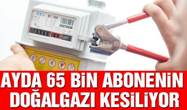 Geçen yıl faturasını ödeyemediği için ülke genelinde 590 bin abonenin doğalgazı kesilirken, aylık kesinti sayısının ise 65 bine ulaştığı ortaya çıktı