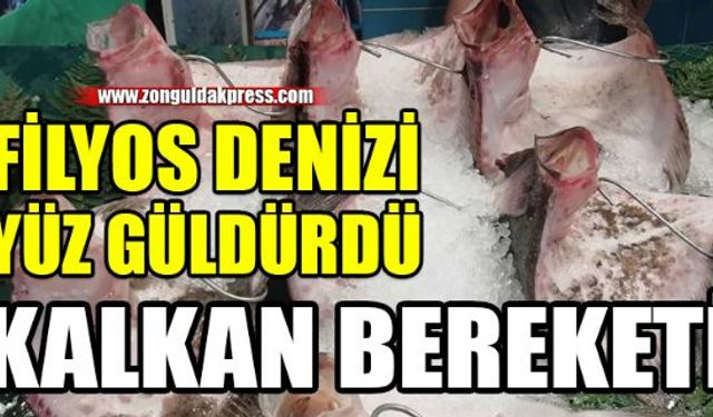 İri kalkanlar uzun aradan sonra balıkçıların yüzünü güldürdü