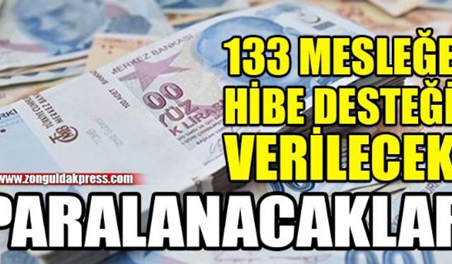 Hükümet kasayı açtı ve 133 mesleğe hibe desteği sunma kararı aldı