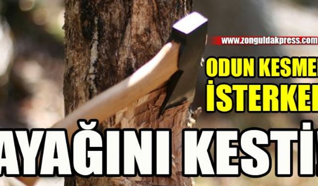 Zonguldakın Ereğli ilçesinde bir kişi odun kesmek istediği sırada ayağını kesti