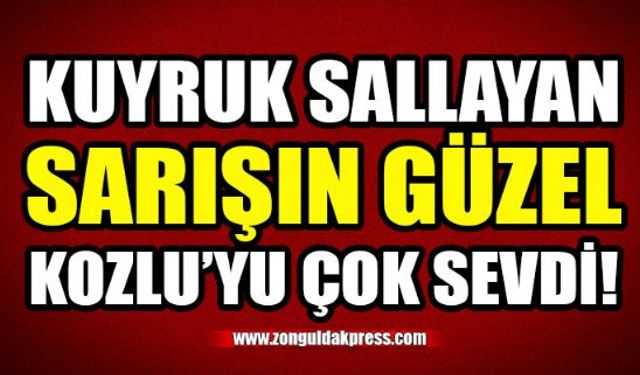 Kuyruk sallayan bu sarışın güzel son zamanlarda Kozlu'yu mesken tuttu!