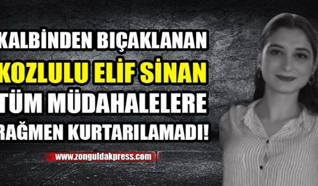 Zonguldaklı üniversite öğrencisi Elif Sinan sevgilisi tarafından bıçaklanarak öldürüldüğü iddia edildi