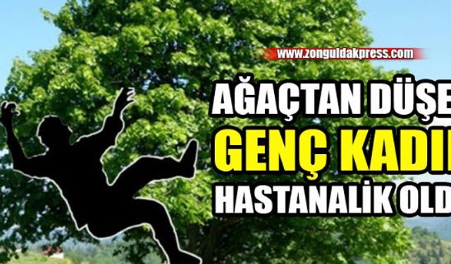 Zonguldakın Devrek ilçesi Aksu Köyü'nde bir kişi ağaçtan düşerek yaralandı