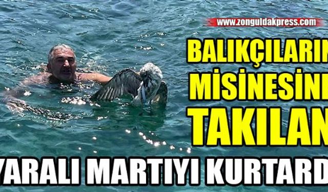 Zonguldakın Çaycuma ilçesinde amatör balıkçıların misinesine takılarak yaralanan martıyı Zeko lakaplı vatandaş kurtardı