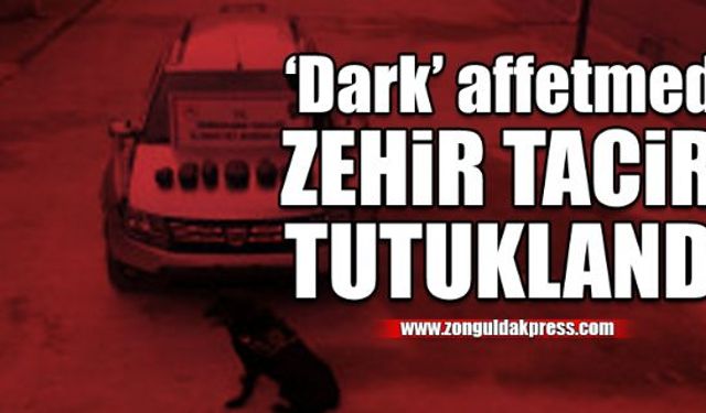 DARK'ın hassas burnu, zehir tacirini ele verdi