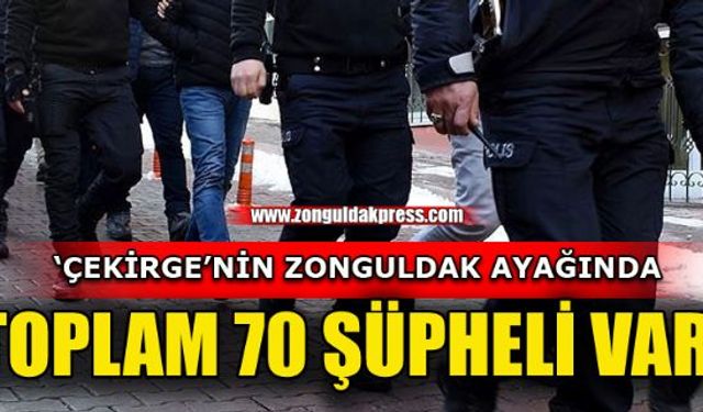 Zonguldak Valiliği'nden Çekirge operasyonu açıklaması